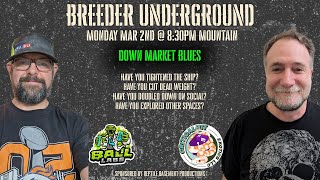Down Market Blues: Navigating the Ball Python Slowdown