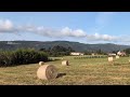 Lezama
