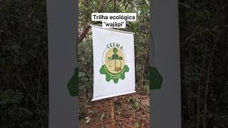 Trilha Ecológica Wajãpi Ãpi