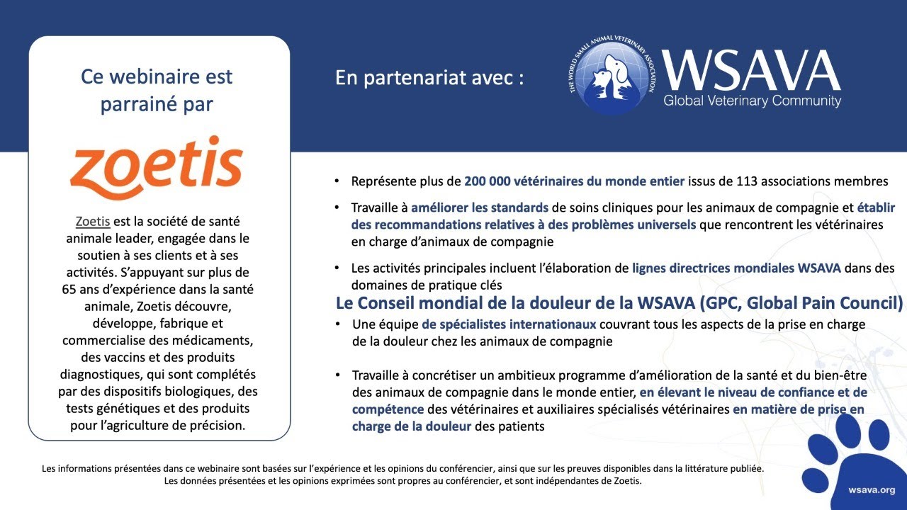 Zoetis inar (FR) on Osteoarthritis for Cats and Dogs Evolving