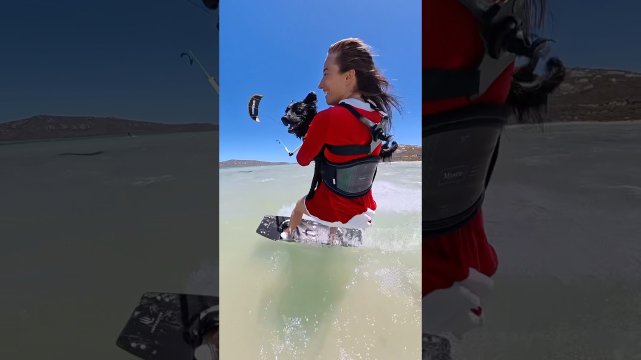 Merry Christmas #christmas #insta360 #insta360x5 #dogshorts #xmas