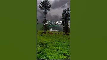 القران الكريم #تلاوة_هادئة #اكسبلور #لايك #النظافه #الظروف