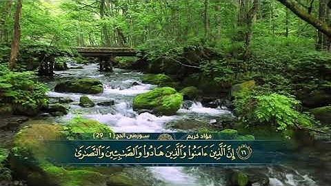 تلاوة هادئة تريح القلب و العقل . بداية سورة الحج ۱ _ ۲۹ القارئ الشيخ فؤاد كريم