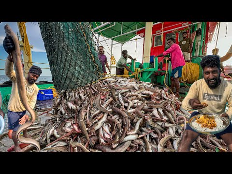 Amazing! Day 2 of Deep-Sea Fishing: We Caught Tons of Kilanga Fish and the Longest Moray Eels!