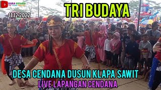 GENDING BRIBIL WONOSOBOAN TB. TRI BUDAYA CENDANA DUSUN KLAPA SAWIT BANJARNEGARA
