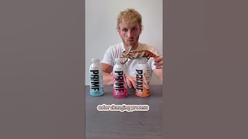 Have you ever seen a chameleon change colors