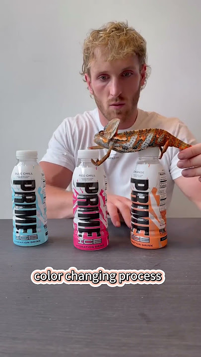 Have you ever seen a chameleon change colors