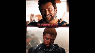 Wolverine VS Black Panther #edit