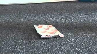 Pop-Tart Trampled By Two Pairs of Combat Boots!