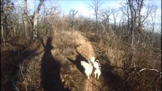 Urban Mushing At Turkey Mountain Urban Wilderness Area