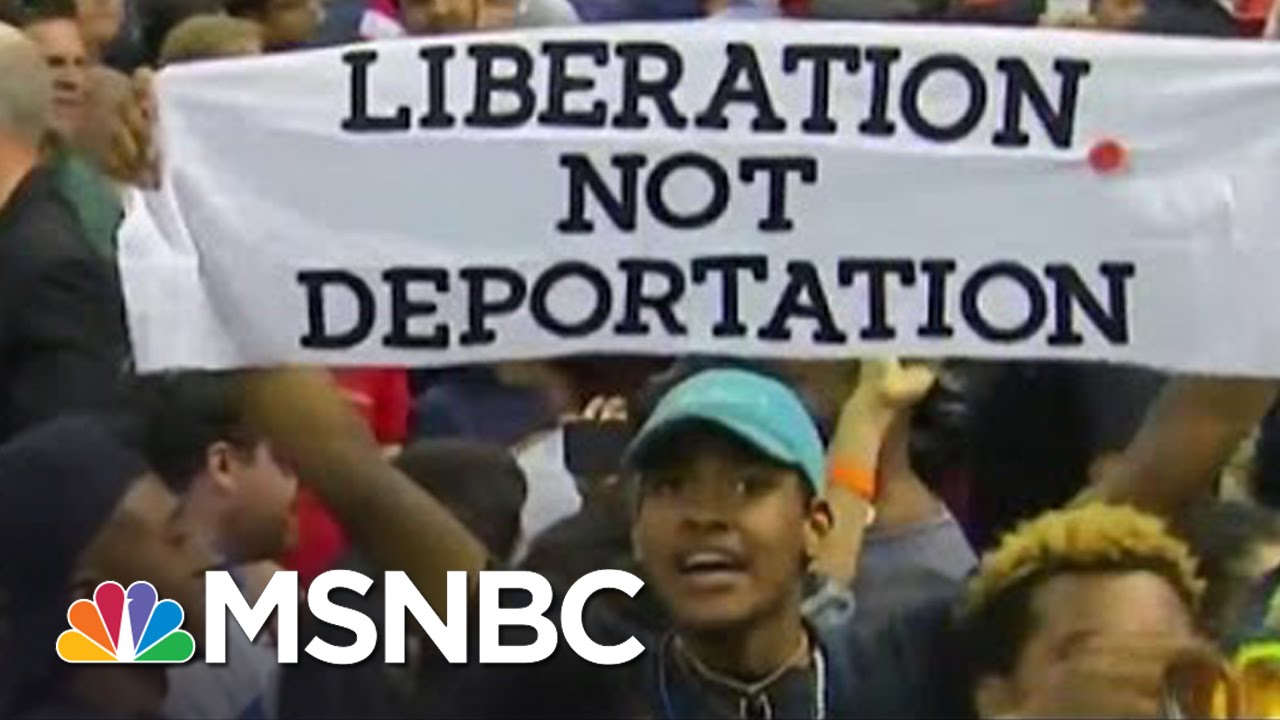 How Anti-Trump Protesters Are Organizing | MSNBC - YouTube