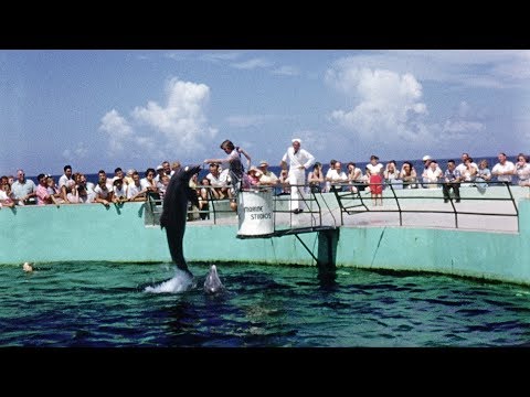 1950's Jacksonville Beach video surfaces online