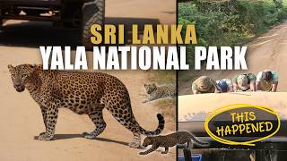 The BEST Safari Experience in Sri Lanka? | Yala National Park