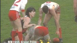 1995 TFL Grand Final