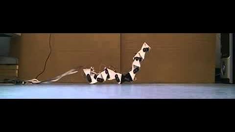 Bio-inspired design strategies for central pattern generator control in modular robotics