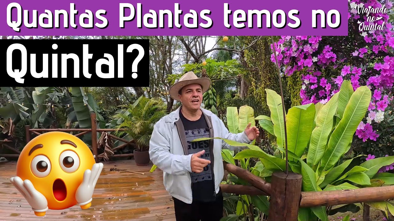 🌸OLHA QUANTAS FLORES E 🌿 PLANTAS DESCOBRIMOS NO QUINTAL