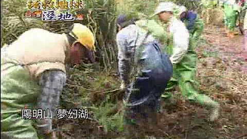 大爱新闻_拯救地球_过度开发加污染 台湾溼地岌岌危 - 天天要闻