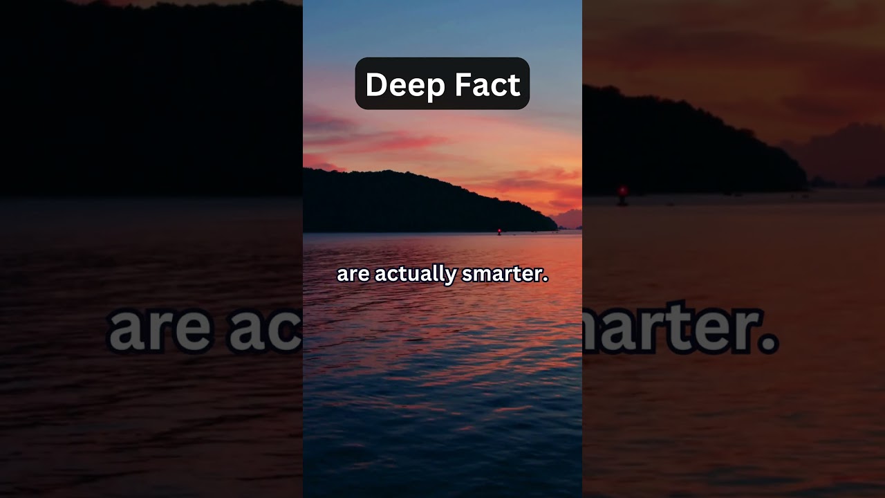 😲😮 Deep Facts That Will Blow Your Mind! 😳🤯😱 