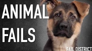 Funny Animal Fails 2014 | Animal Fail Compilation