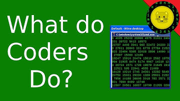 What Do Programmers Actually Do?