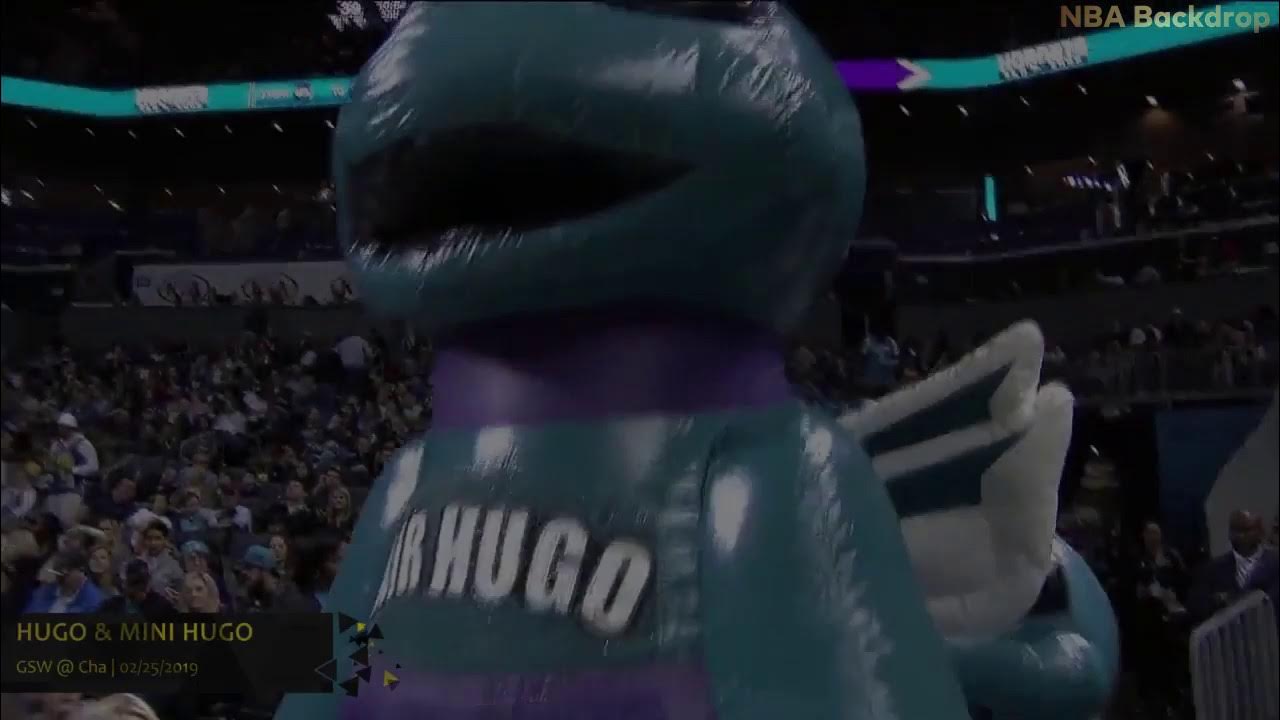 Mascot – Charlotte Hornets