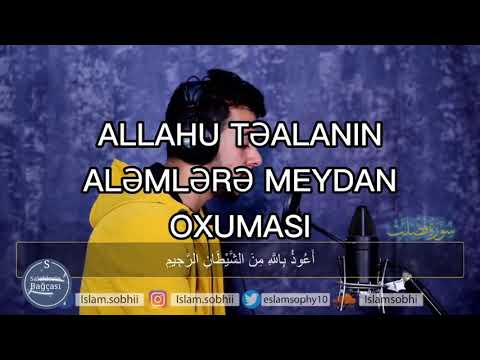 Allahın aləmlərə meydan oxuması