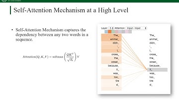 Handling Heavy-tailed Input of Transformer Inference on GPUs