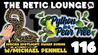 SPECIES SPOTLIGHT: DWARF BURMS WITH MICHAEL PENNELL OF PYTHON IN A PEAR TREE | THE RETIC LOUNGE #116