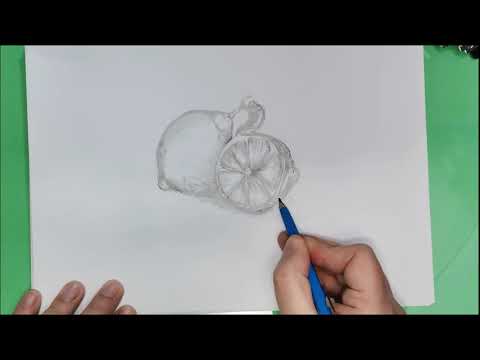Video: Come Si Disegna Un Limone