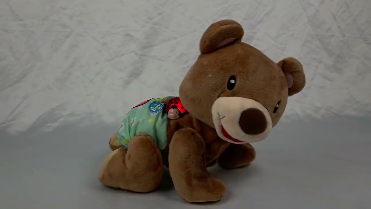 VTech Explore & Crawl Learning Cub Talking Moving Musical Interactive Bear