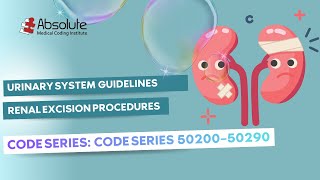 Urinary System —  Renal Excision Procedures Coding (Guidelines) [Code Series: 50200–50290]