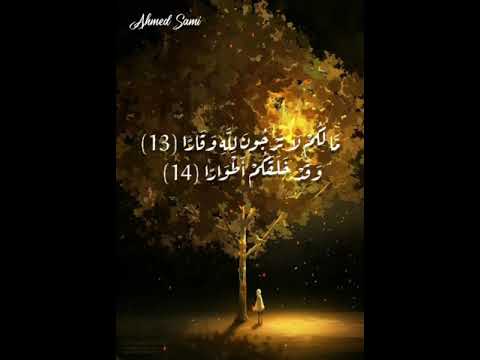 مالكم لا ترجون لله وقارا