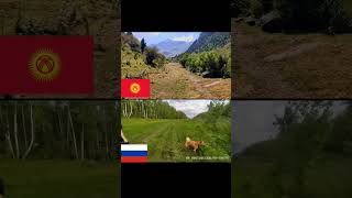 Природа Кыргызстана и России #pocox3pro