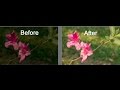 How to Fix an Underexposed Photo in Lightroom - photoreform.com