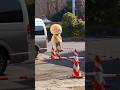 ちぃたん　偶然発見