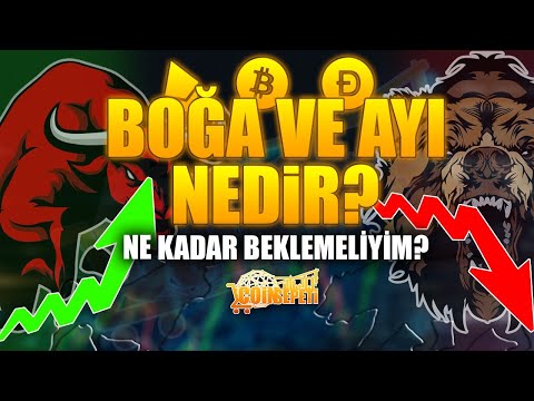 Video: Boğa Nasıl Anlaşılır