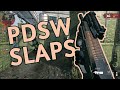 PDSW KINDA SLAPS 👊 #shorts #callofduty #cod