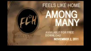 Feels Like Home - Among Many (Lyrics Video)