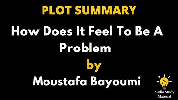 Plot Summary Of How Does It Feel To Be A Problem By Moustafa Bayoumi. -