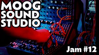 Jam with the Moog Sound Studio - 12