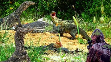 PEST CONTROL MONITOR LIZARD || BIAWAK HAMA TERNAK WARGA || MONSTER EMPANG