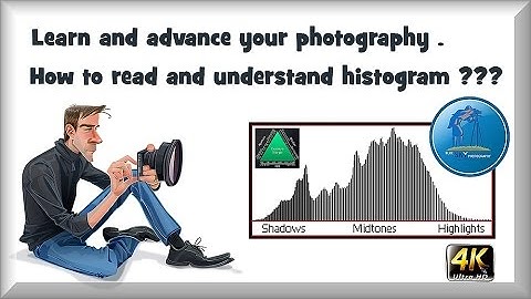 How to read and understand histogram ??? Improve your photography  and your skills !!!