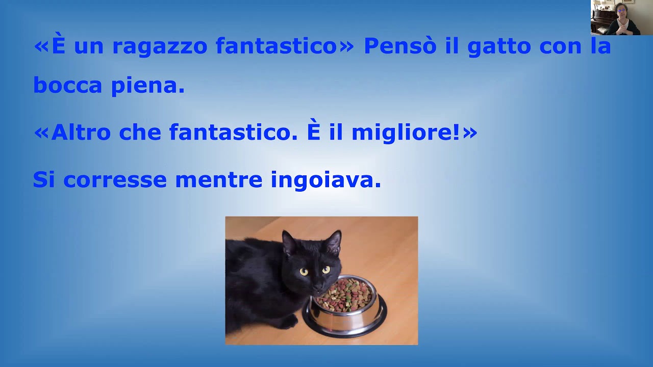 Zorba e il pellicano