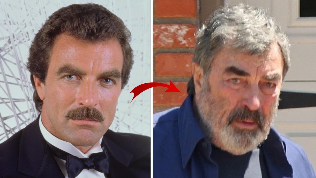 Blue Bloods Stars & Where They Are Now