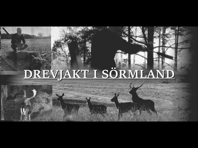 Drevjakt i Sörmland class=