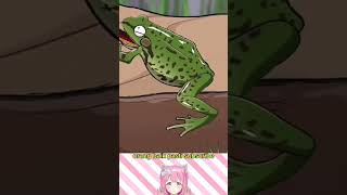 Dubbing Lucu Viral Katak Makan Kaki Seribu