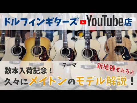 Dolphin Guitars YouTube Store: Maton Model Overview! - YouTube