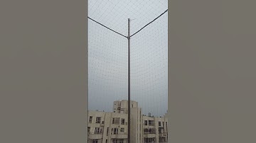 Best bird net installation #song
