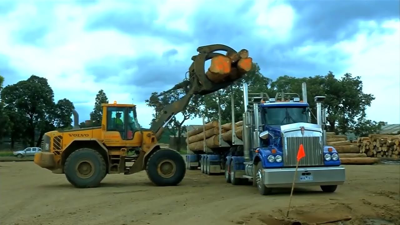 Technology in Forestry.   Part One. ca 2013