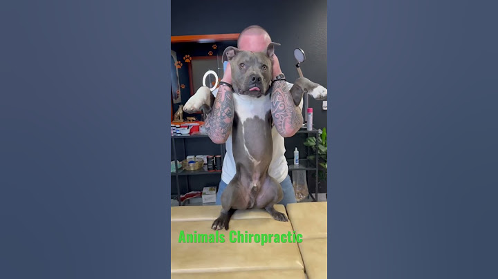 Animals Chiropractic💚💚#chiropractic #foryou #doglover #usa #animals
